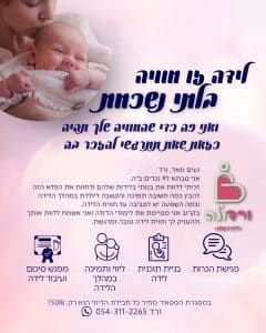 ורד מור יוסף דולה פלייר